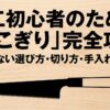 木工初心者のための「のこぎり」完全攻略 失敗しない選び方・切り方・手入れの基本